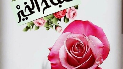 vidéo vachement importante , فيديو مهمة جدا