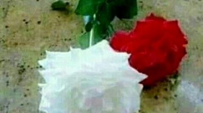 chanson occidentale , أغنية غربية