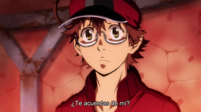 Cells at work Black Code 02