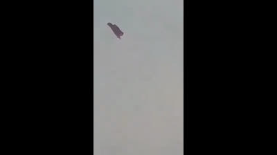 Sorprendente criatura voladora grabada en Marruecos - Stunning flying creature recorded in Morocco