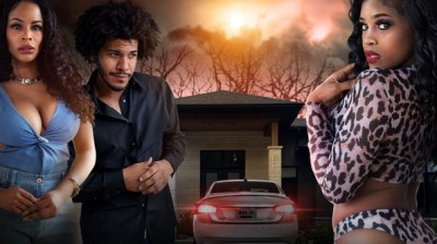 Link para ver "Homewrecker" . Película completa online gratis HD en versión original.