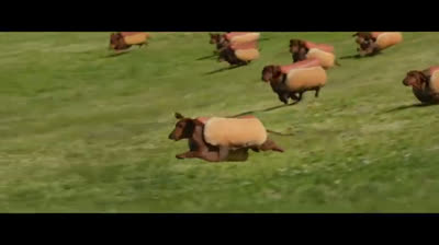 “We’re Here” Big Game Spot I Instacart | Super Bowl 2025