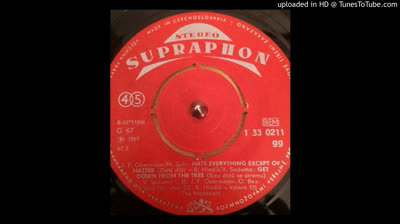 Matadors (1967) - Get Down From The Tree