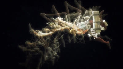 Shingeki no kyojin capitulo 10 sub español