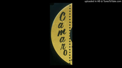 Discotees (1968) - I always will