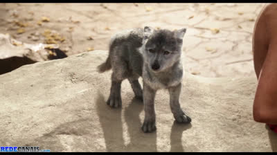 Mogli: O Menino Lobo